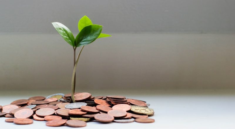Investissements durables : équilibre risque-rendement écologique.